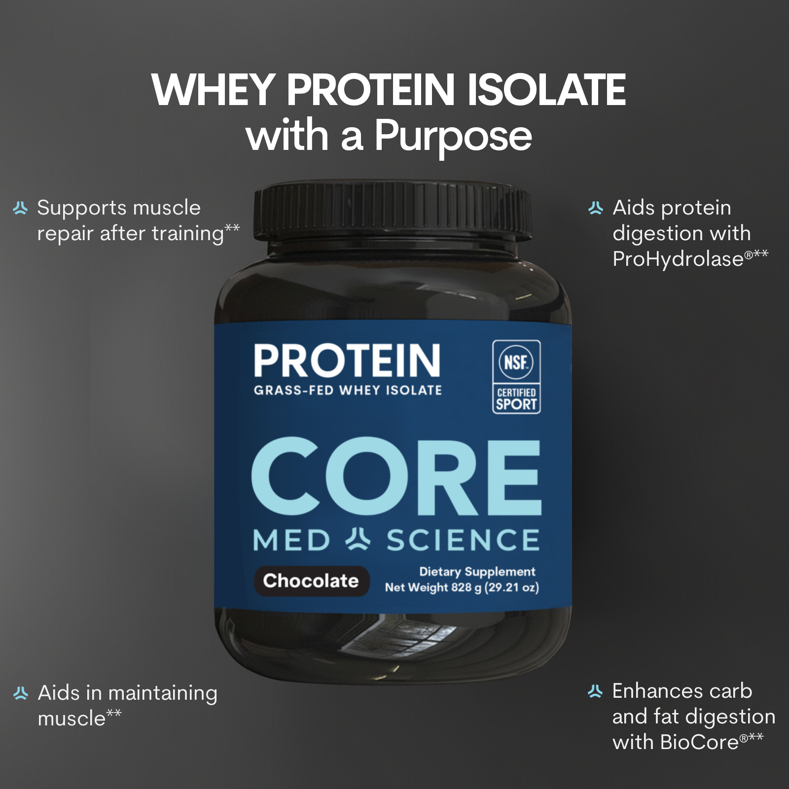 Chocolate Whey Protein Isolate Powder for Fitness