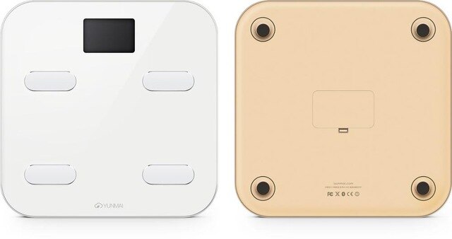 Smart Digital Weight and Body Fat Scale