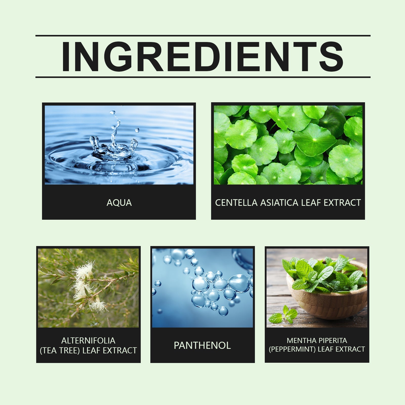 Centella Daily Facial Toner for Hydrating and Soothing