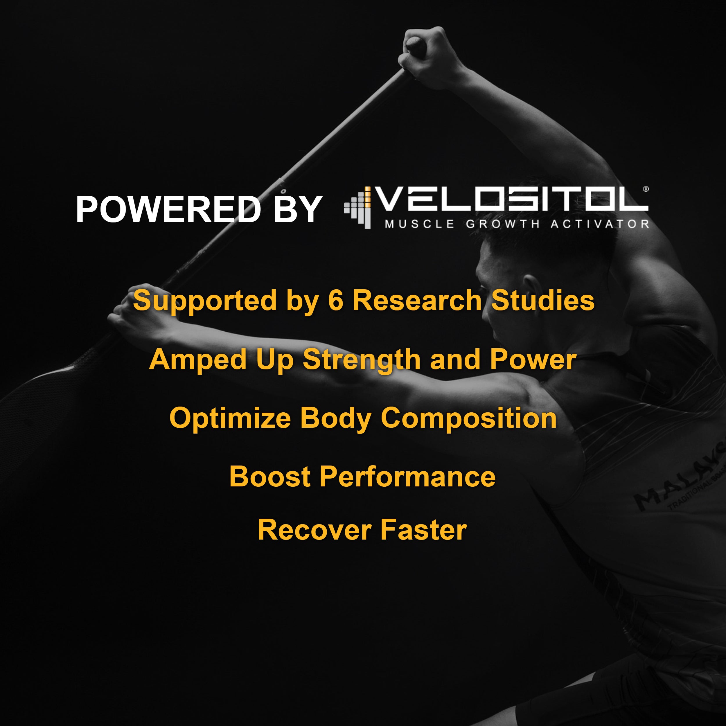 Plant Based Sport Protein Powder for Fitness